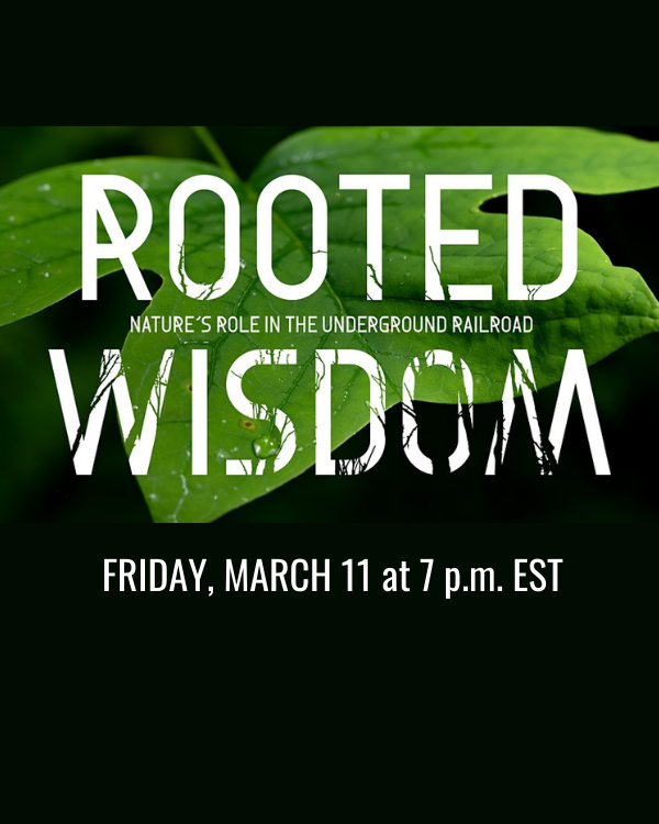 Rooted Wisdom Logo