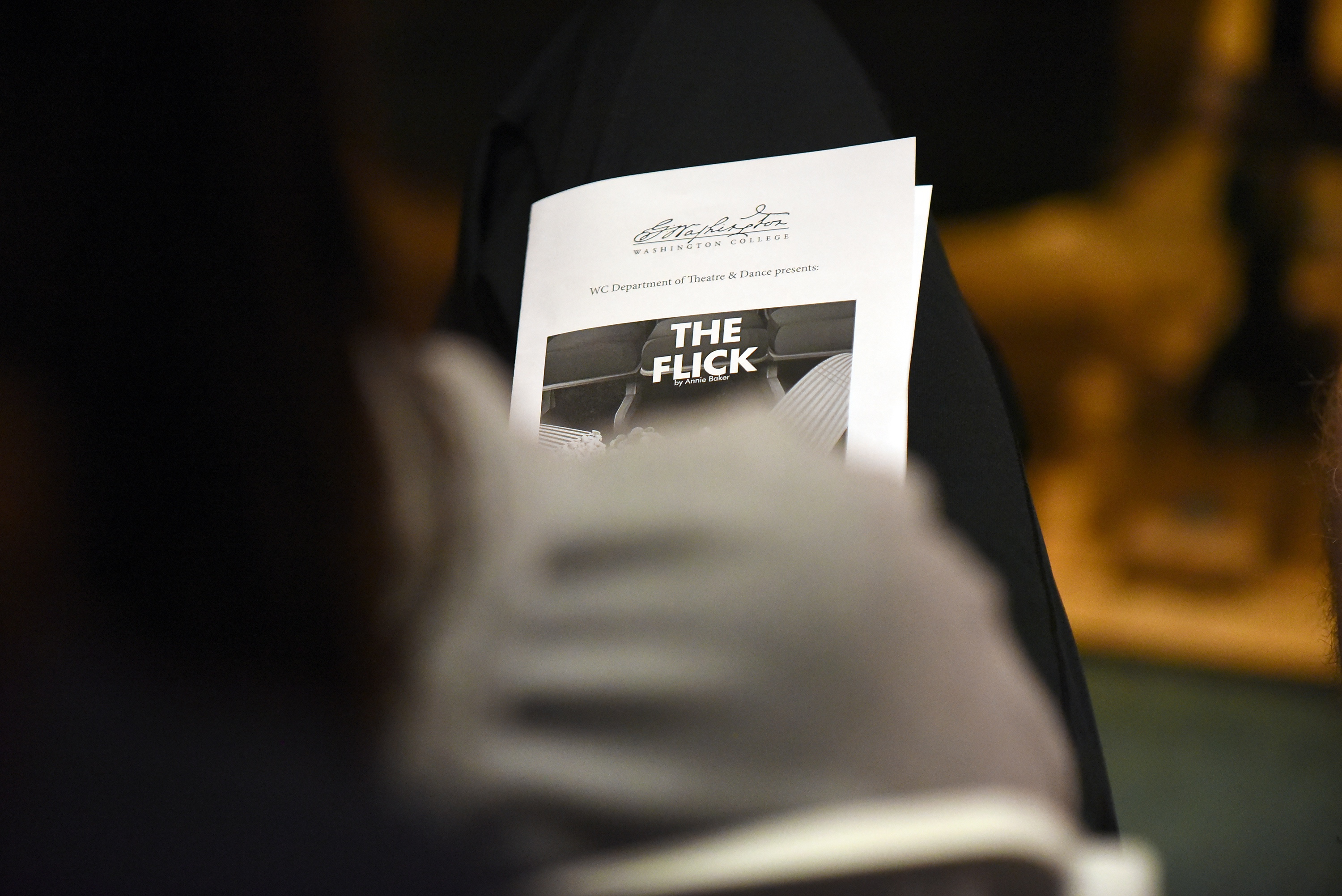 The Flick program