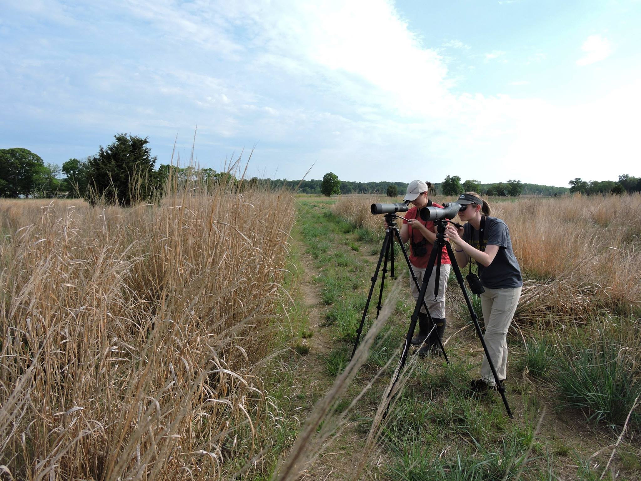 Field Studies Image