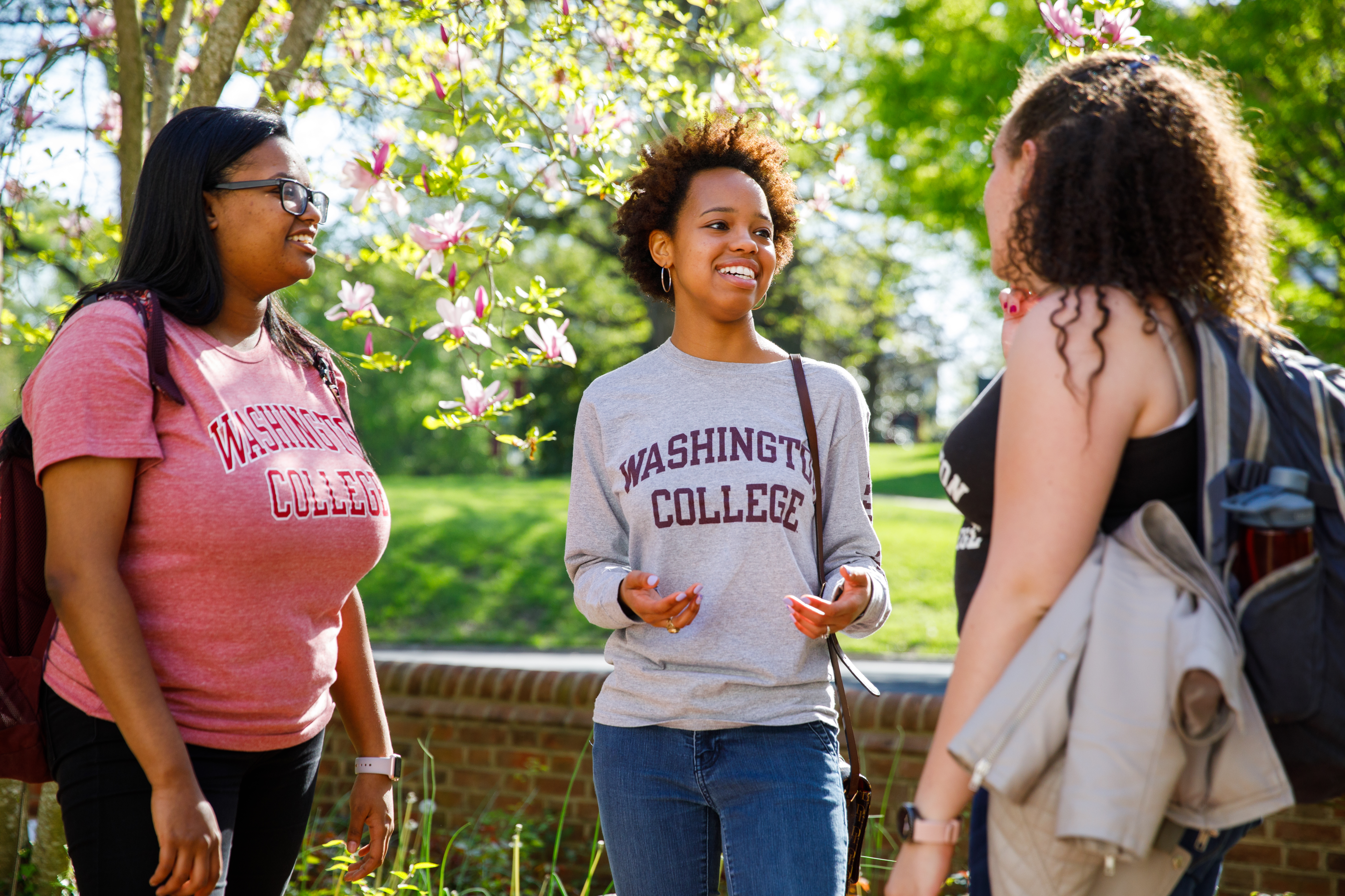 students outside the baseball field, trees blossoming.