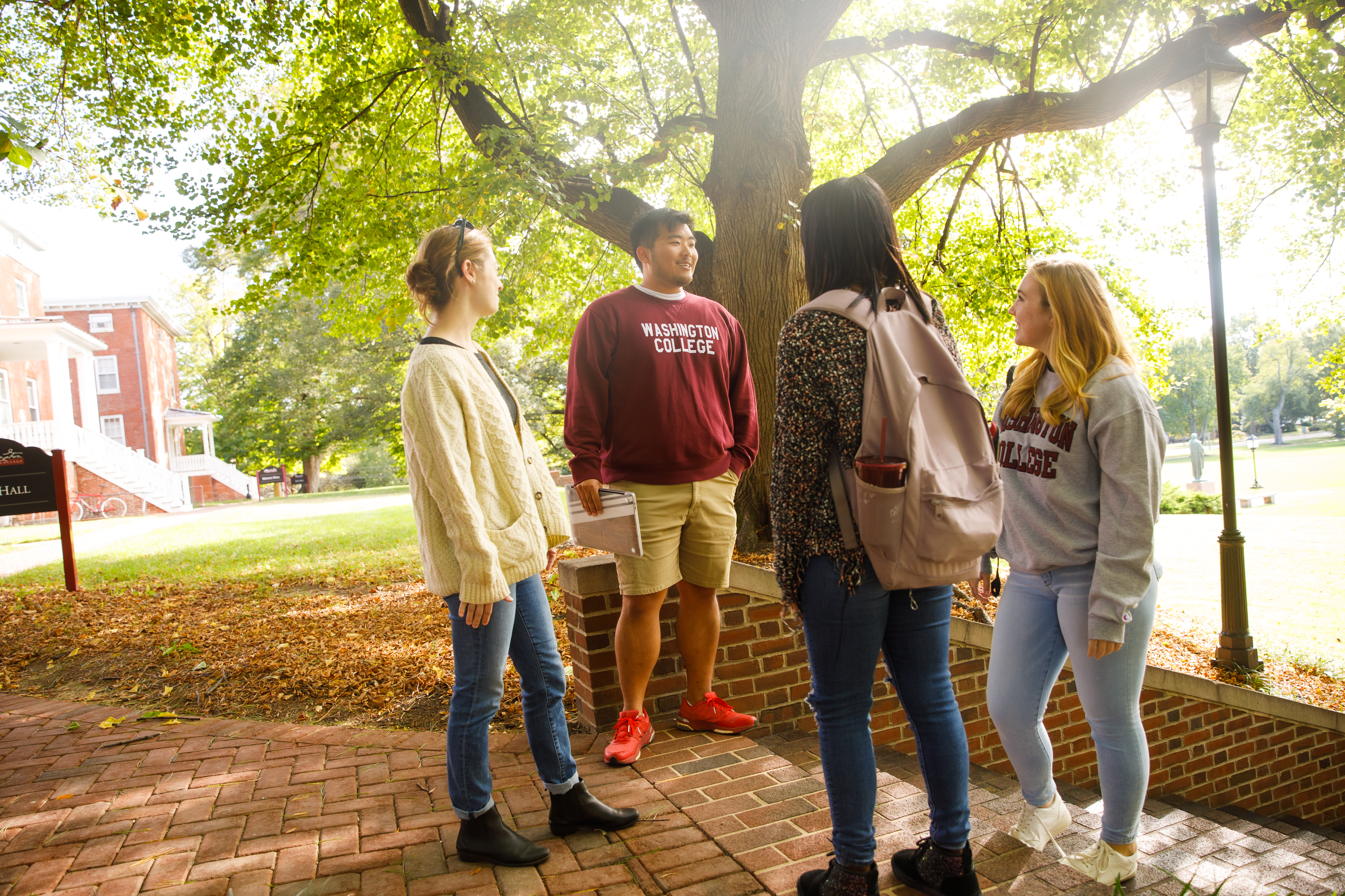 Students gathered in a circle talking under a tree