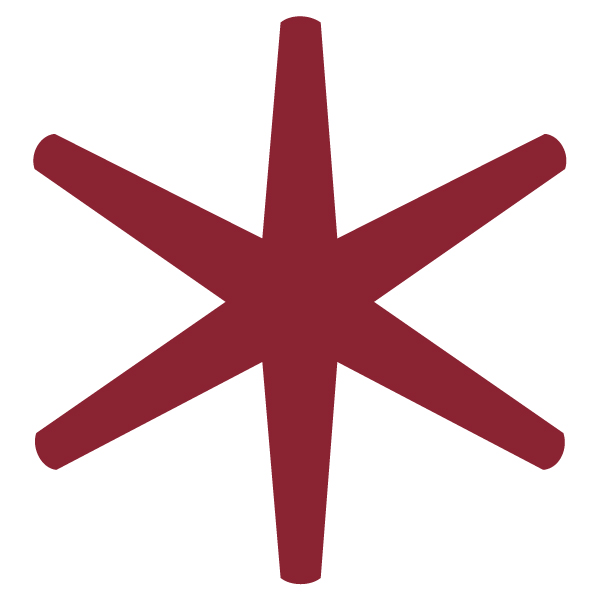 Asterisk Logo