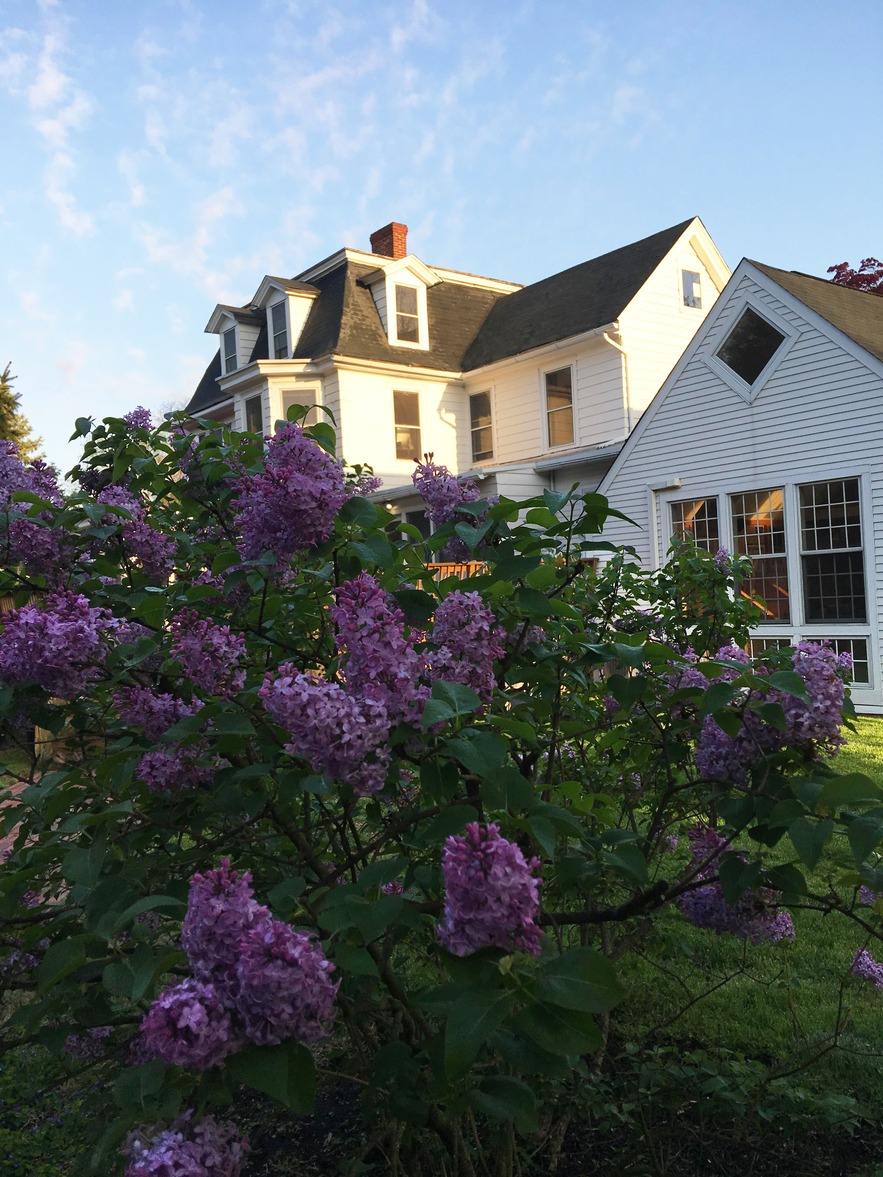 Lit House Exterior with Lilacs