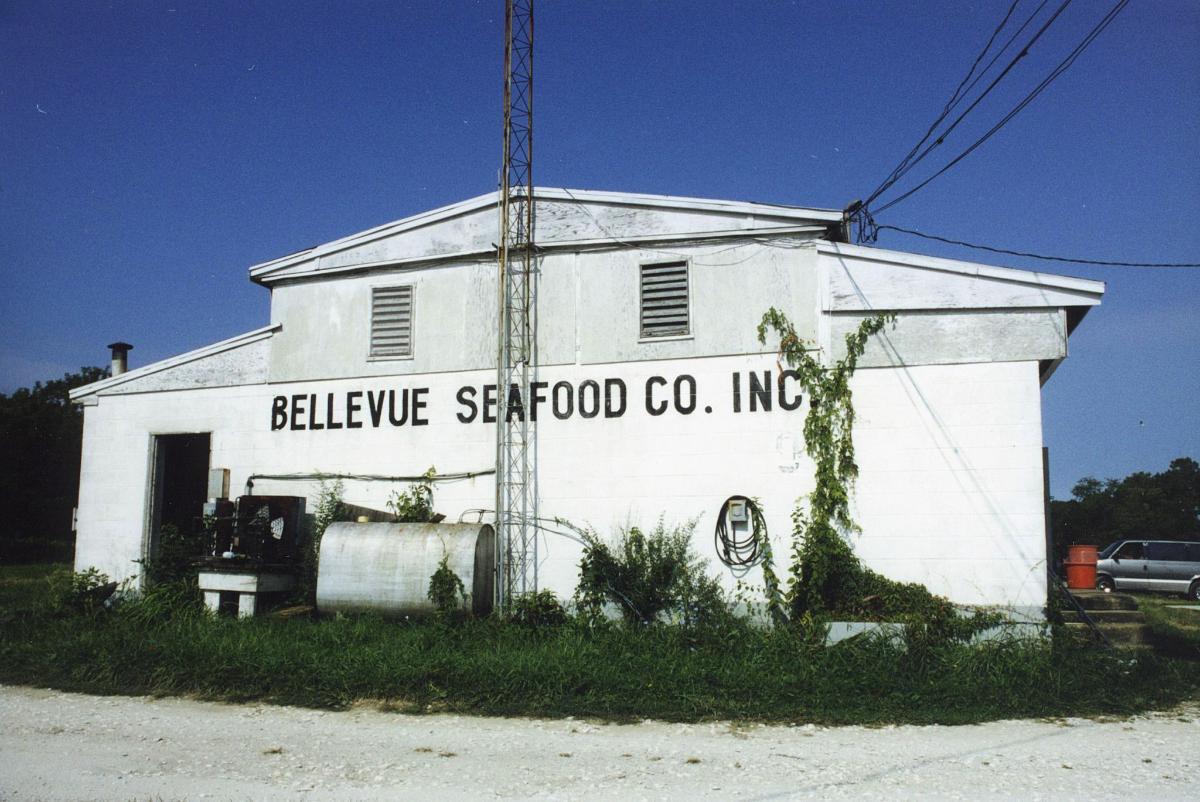 Bellevue Seafood Company building 