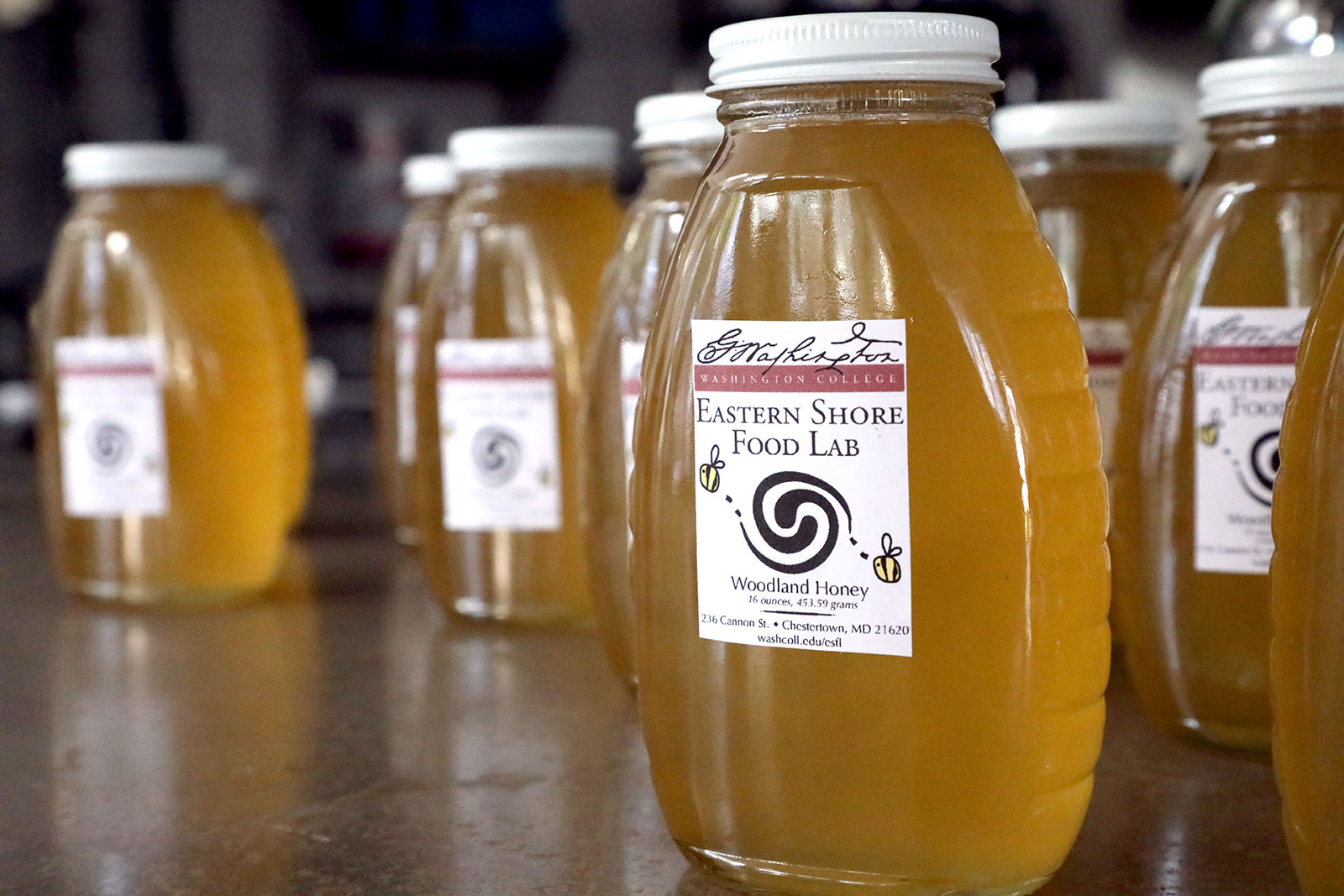 Honey purchased from the ESFL supports our intern training, outreach, and community programming.
