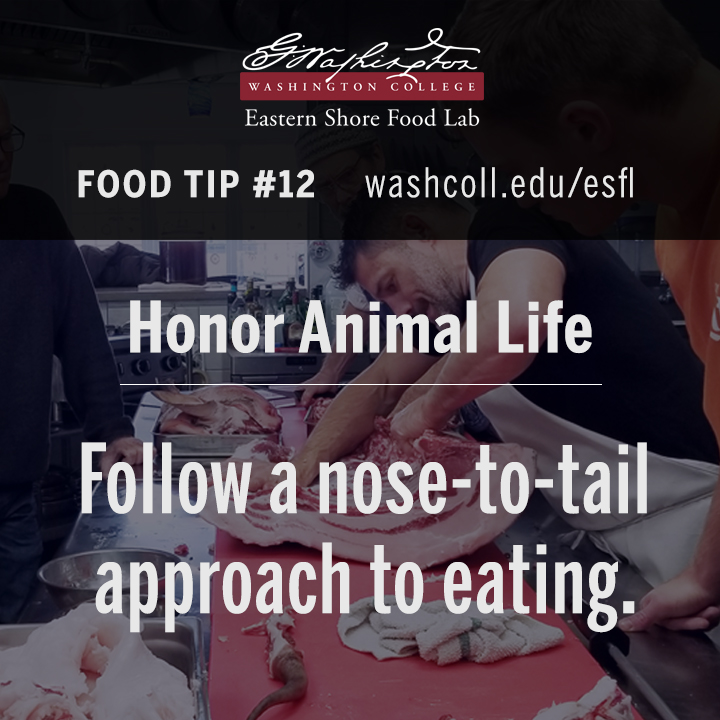 Honor animal life