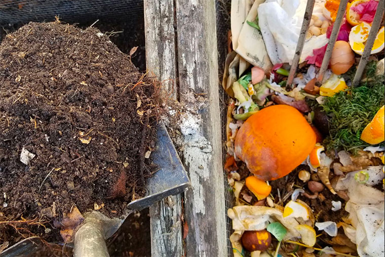 Virtual Composting Workshop