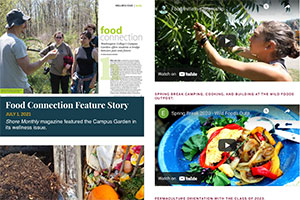 A screenshot of a website