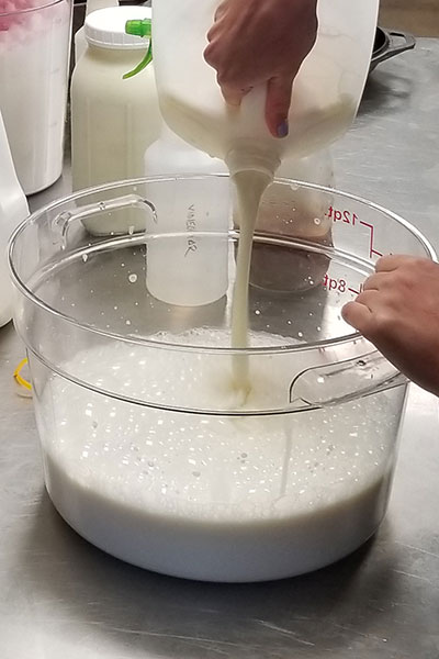 Milk poured into a vessel will have 2% kefir by weight added to it.