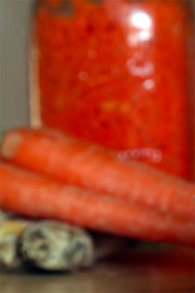 Lacto-carrots