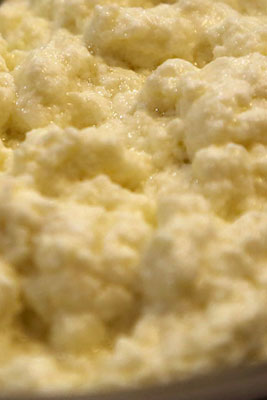 Ricotta cheese uses whey remaining from other dairy ferments.