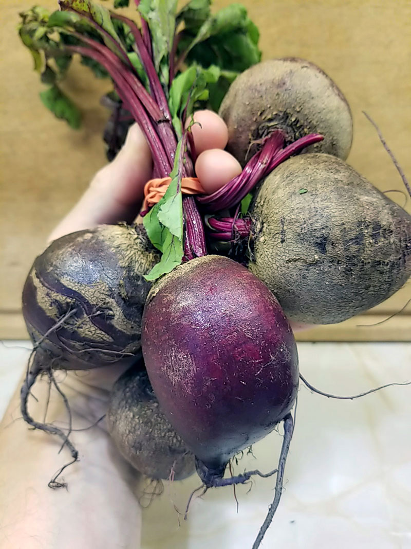Get nutrition from beets without the oxalates.