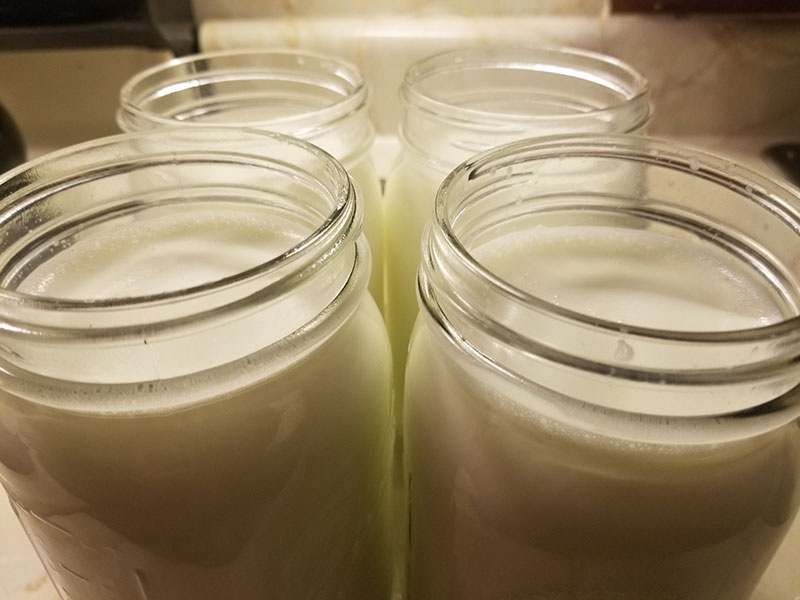 Yogurt in jars from one gallon of milk. Easy, affordable, and delicious!