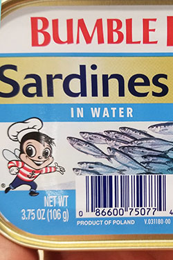 Sardines