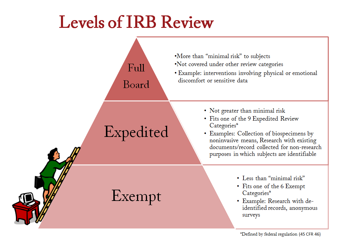 what is a research irb