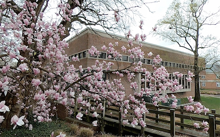 spring on campus