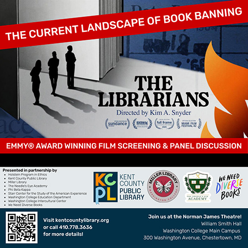poster for The Librarians