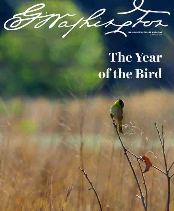 The Year of the Bird