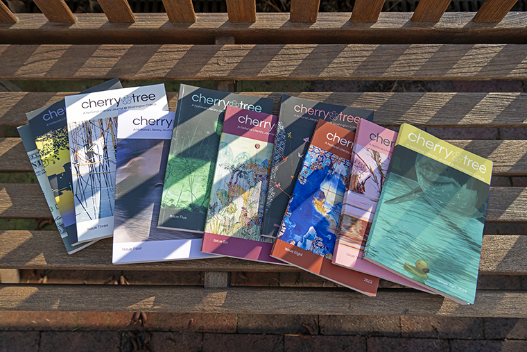 The 10 issues of Cherry Tree literary magazine displayed on a bench.