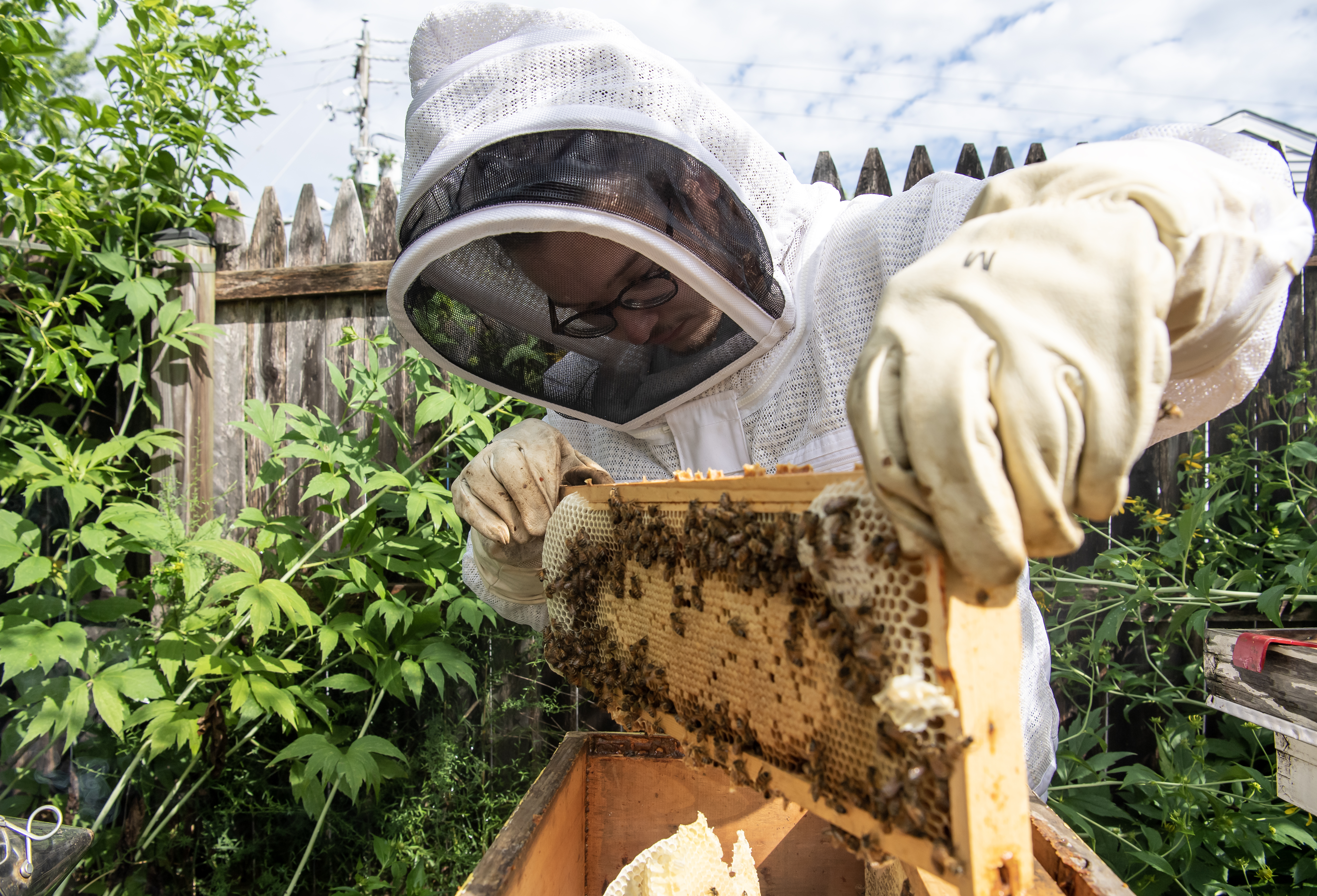 Estes Beekeeping