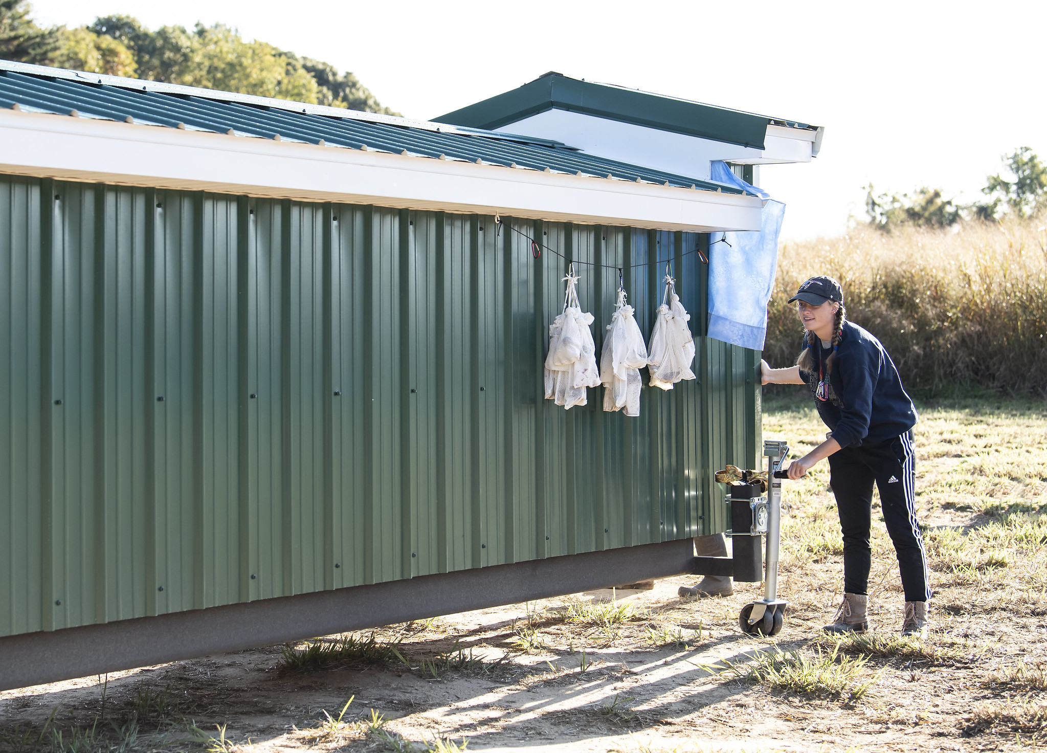 Bird-safe glass testing tunnel exterior