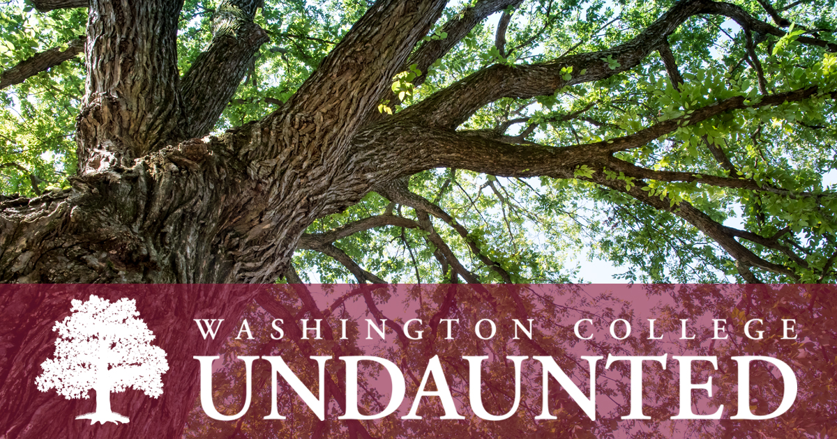 undaunted campaign header