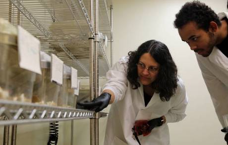 Professor and student in animal lab