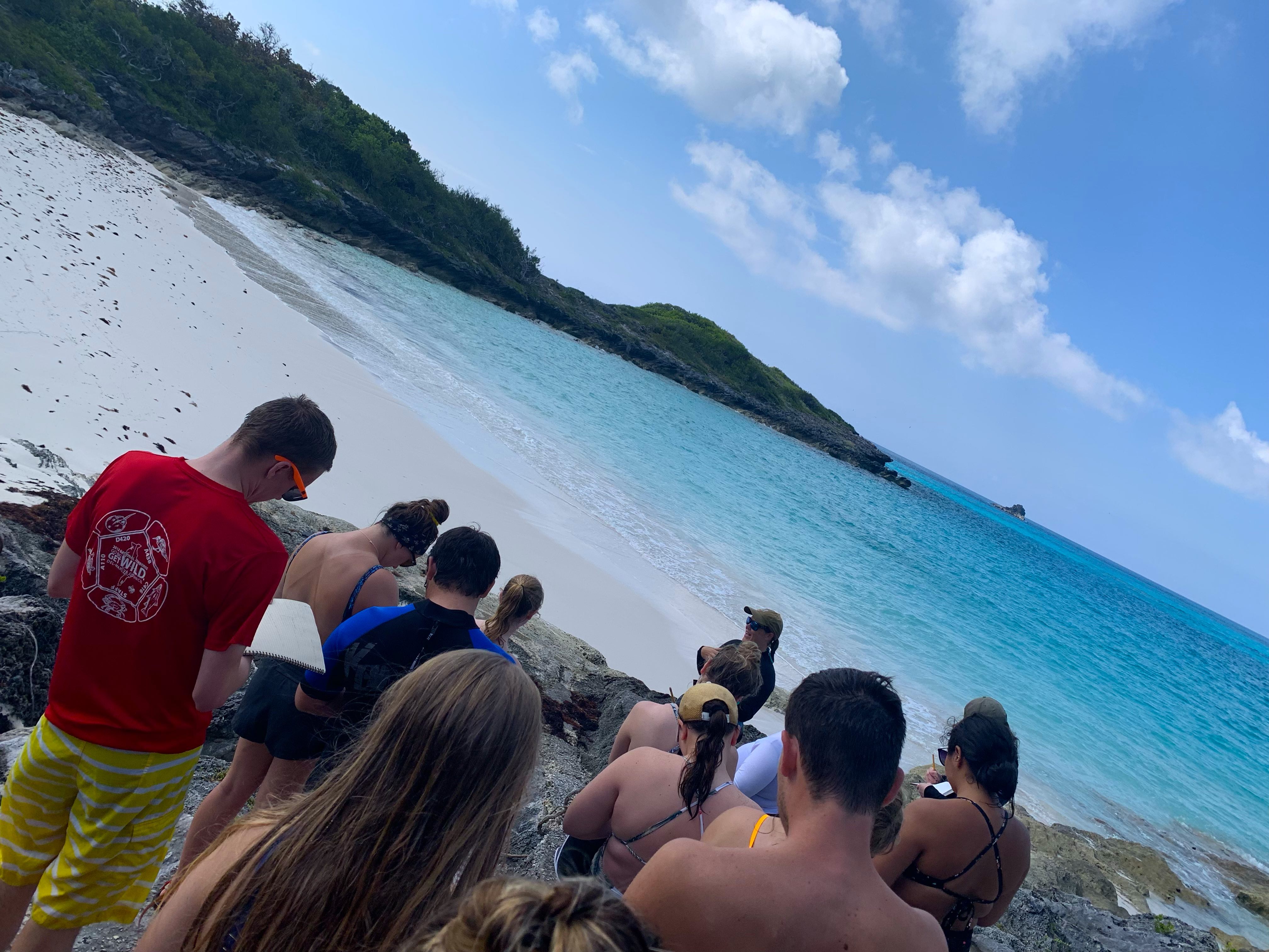 ENV/BIO Bermuda 2019