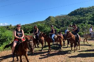 Trinidad Horses