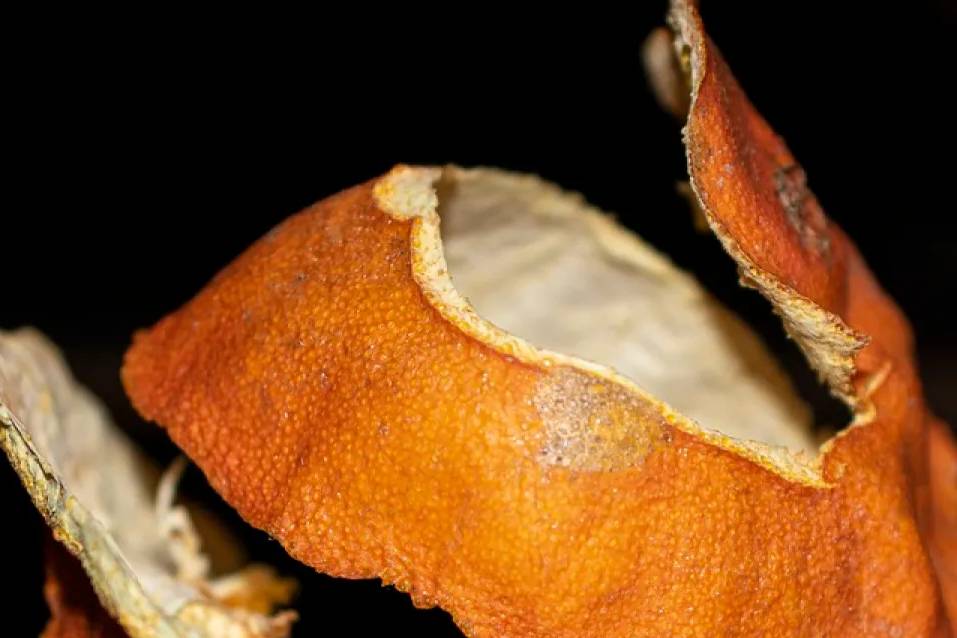 an orage peel