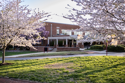 cain gym with pink flowering trees