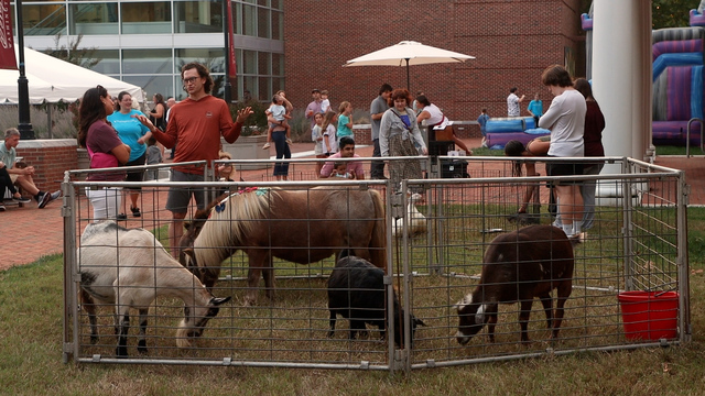 people and a petting zoo in the square