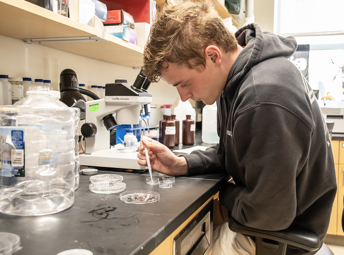 a student doing research at a bench with a pipette