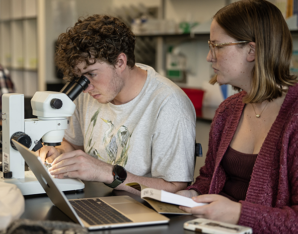 Two students undertake a microscope activity in class