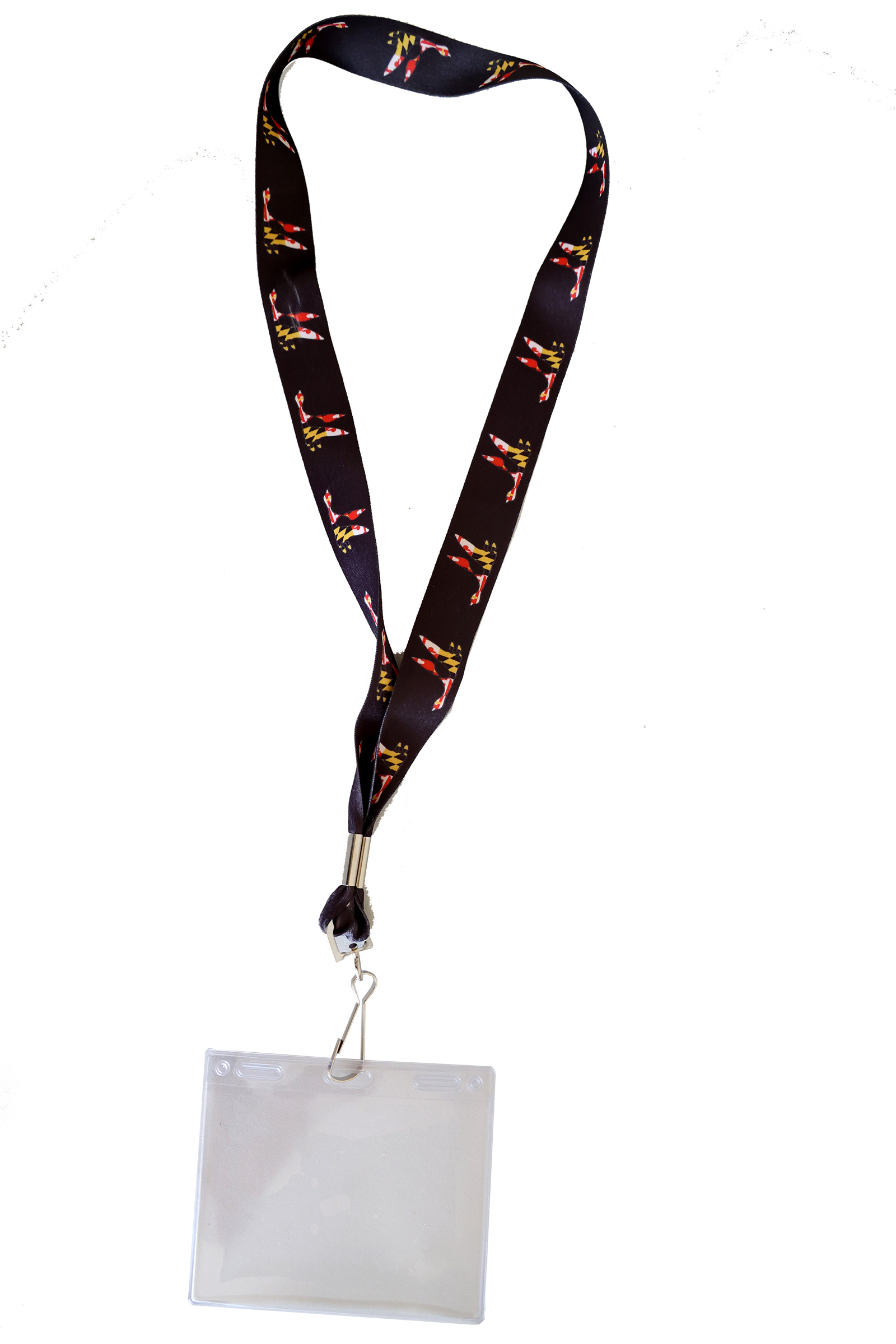 Lanyard