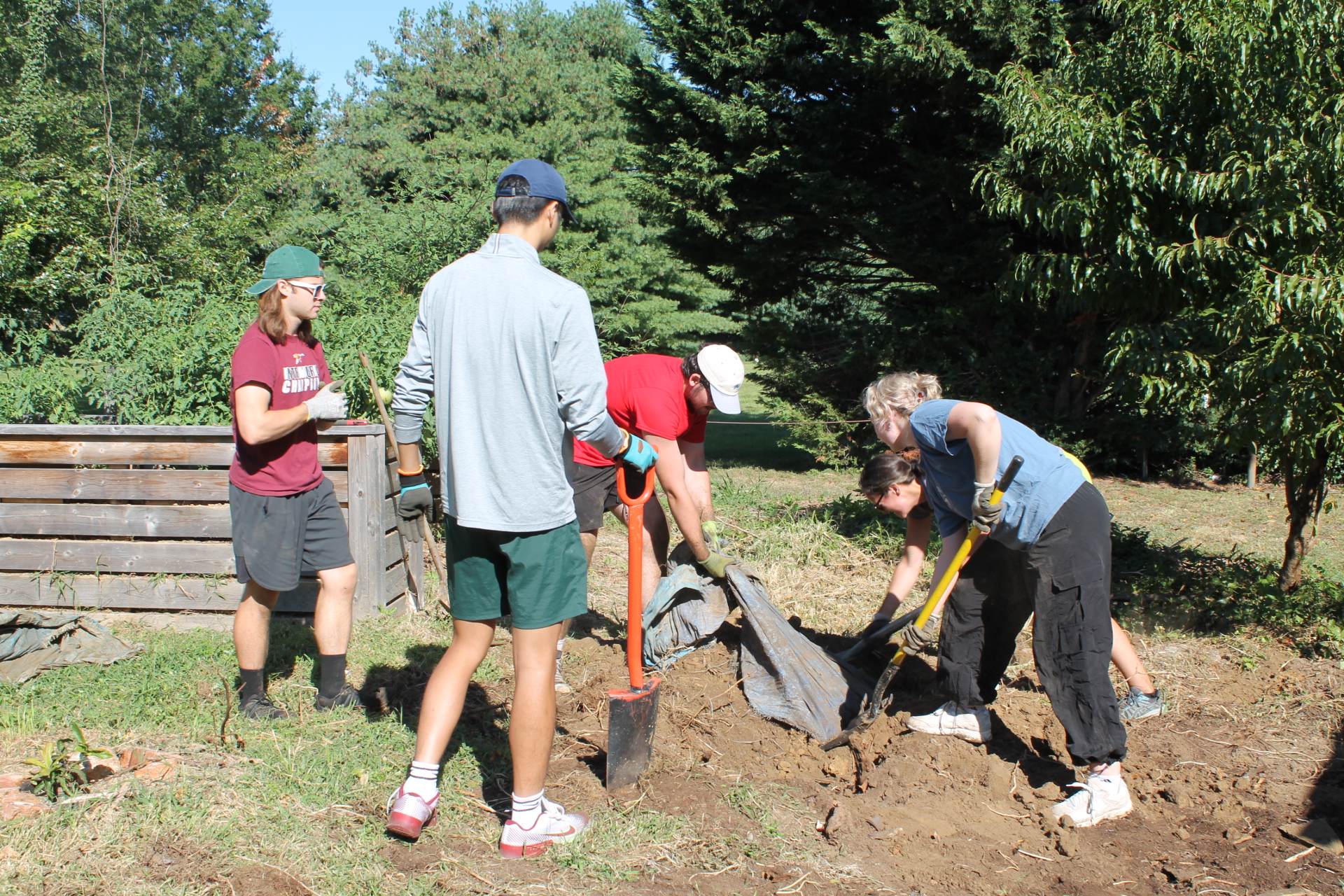 Students work to ubury a fence in the Washington College Campus Garden. 