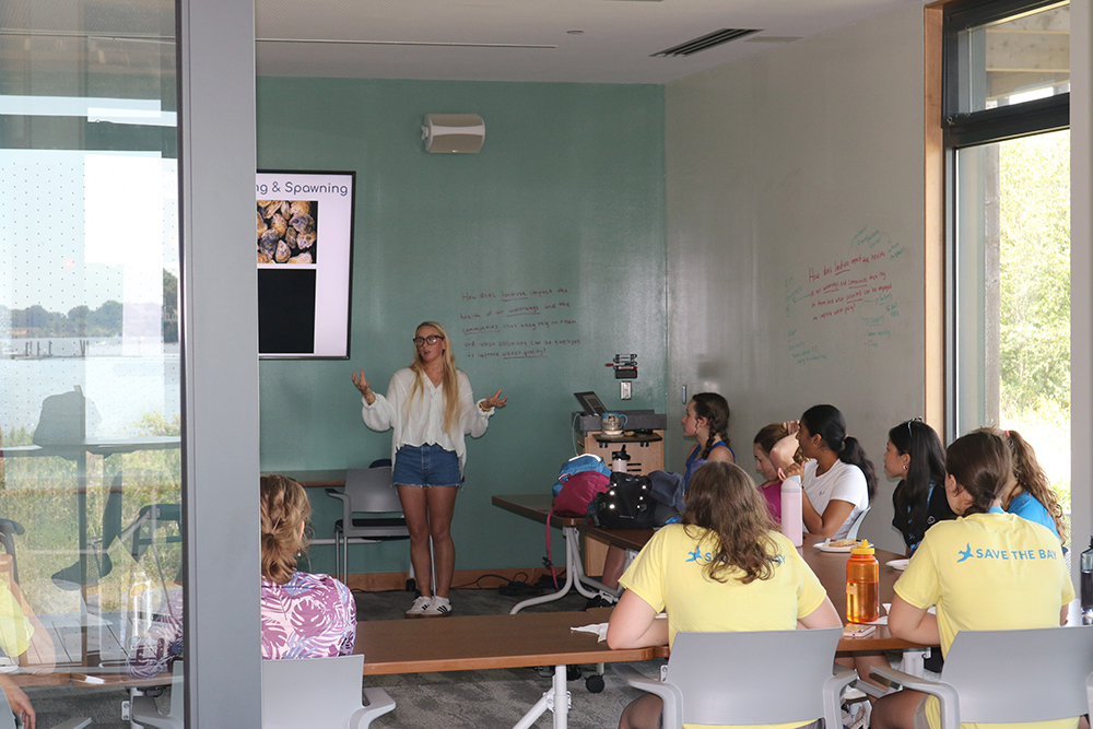 students learning 