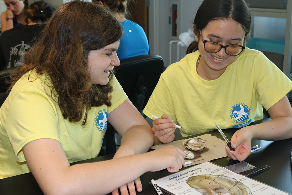 placeholderstudents learning about oysters during the Bay Science & Solutions conference