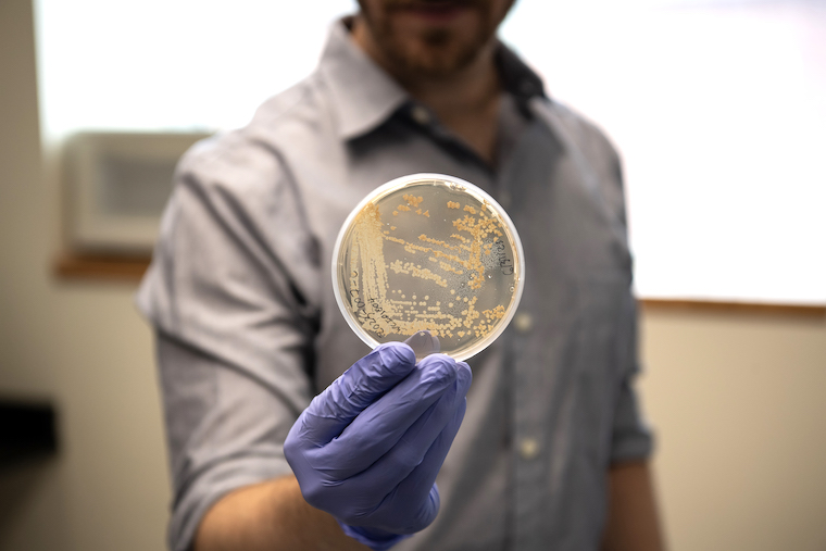 Daniel May holds a petri dish of pollen samples during research for his latest paper published in Frontiers in Microbiology. 