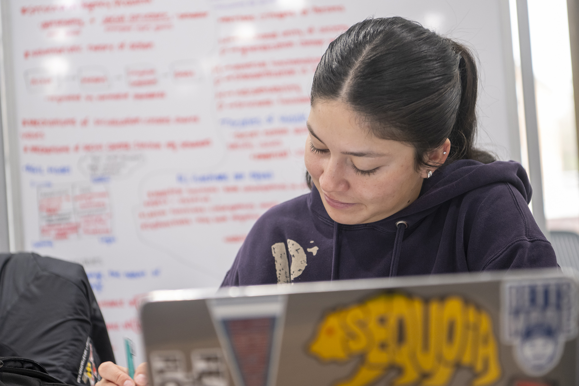 student working in the library