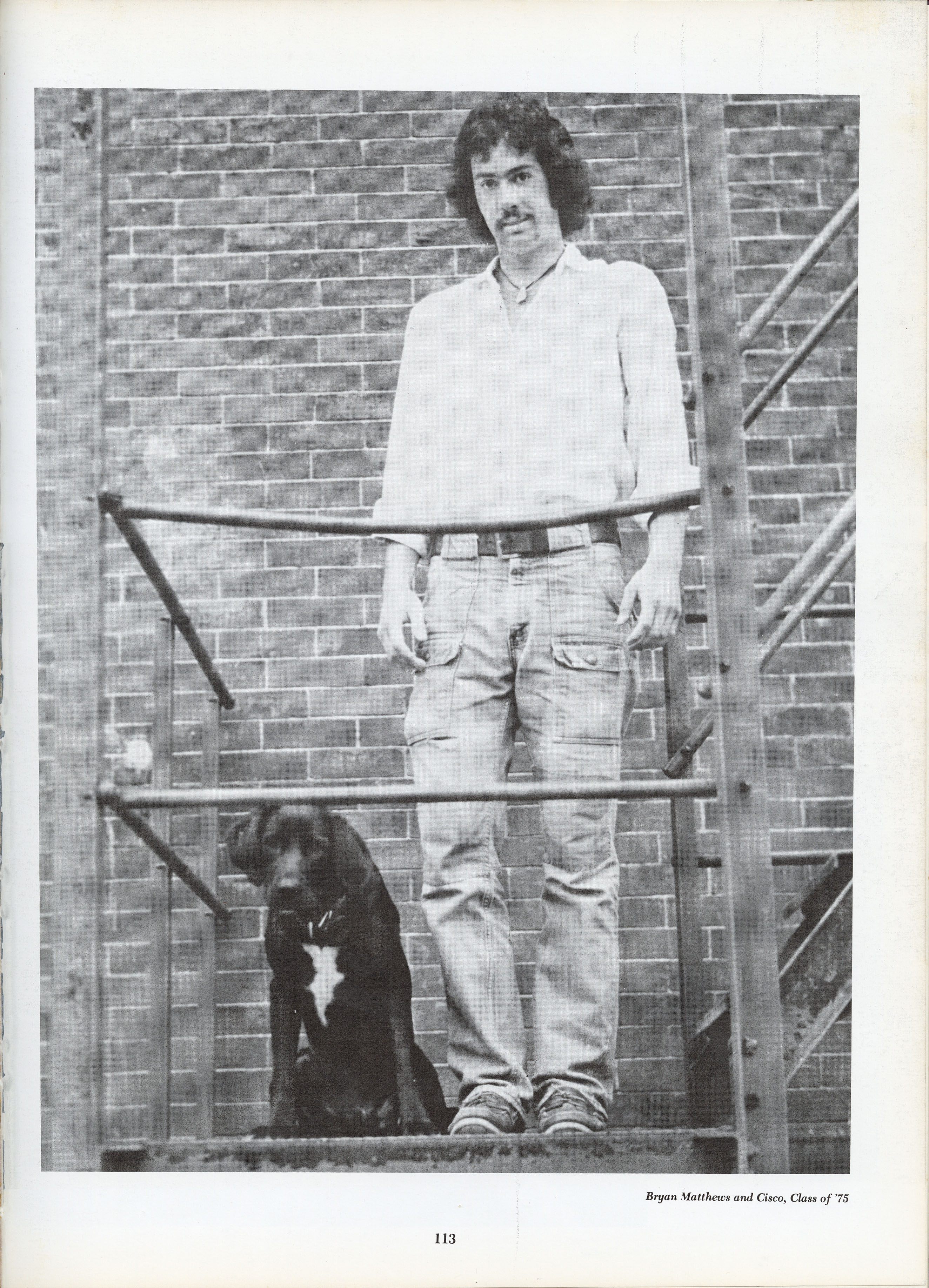 Pegasus 1975