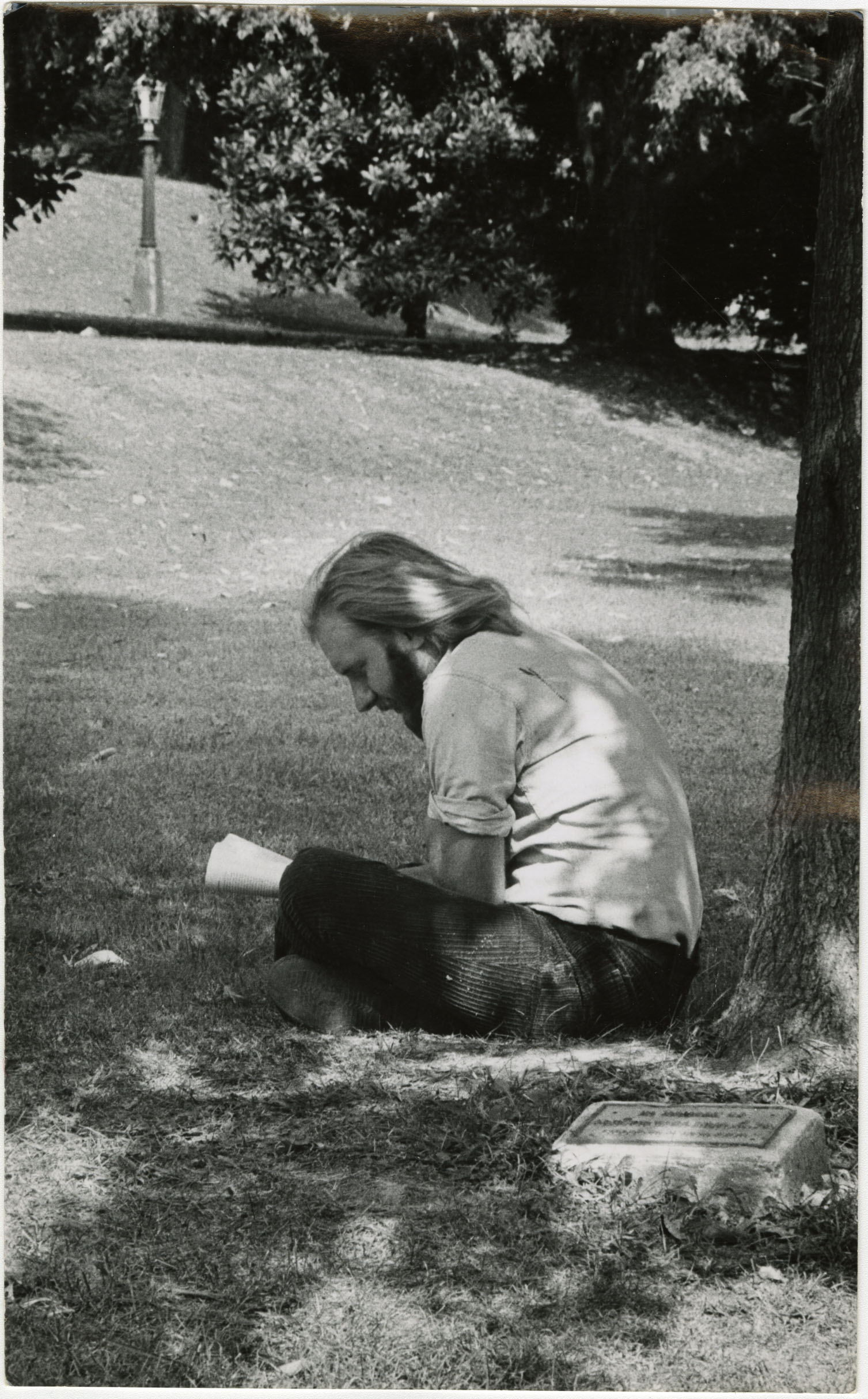 Reading under a tree