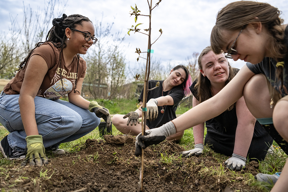 four students planting in the campus garden