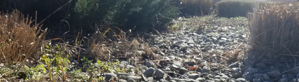 collections of stones to slow runoff