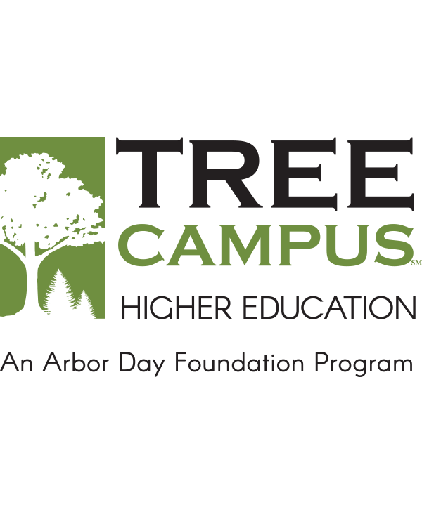 tree campus logo