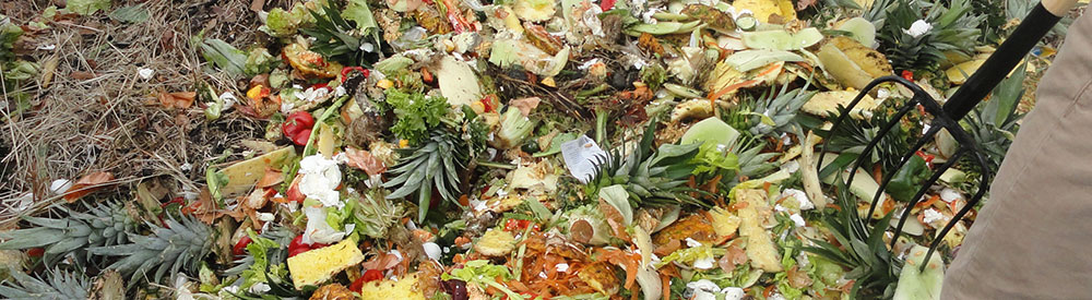 Eliminate Food Waste