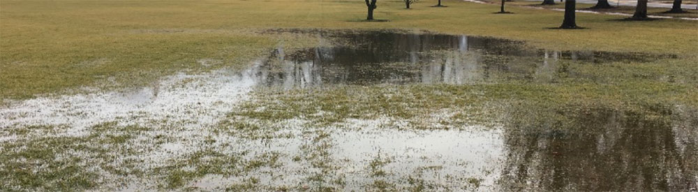 Water ponding on campus green