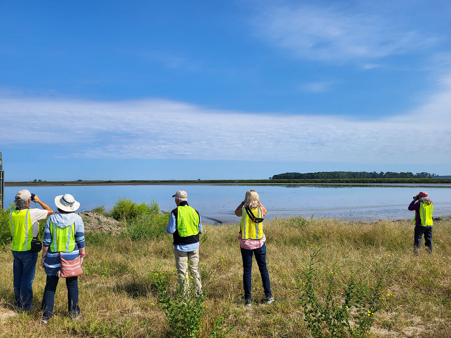 group on poplar island