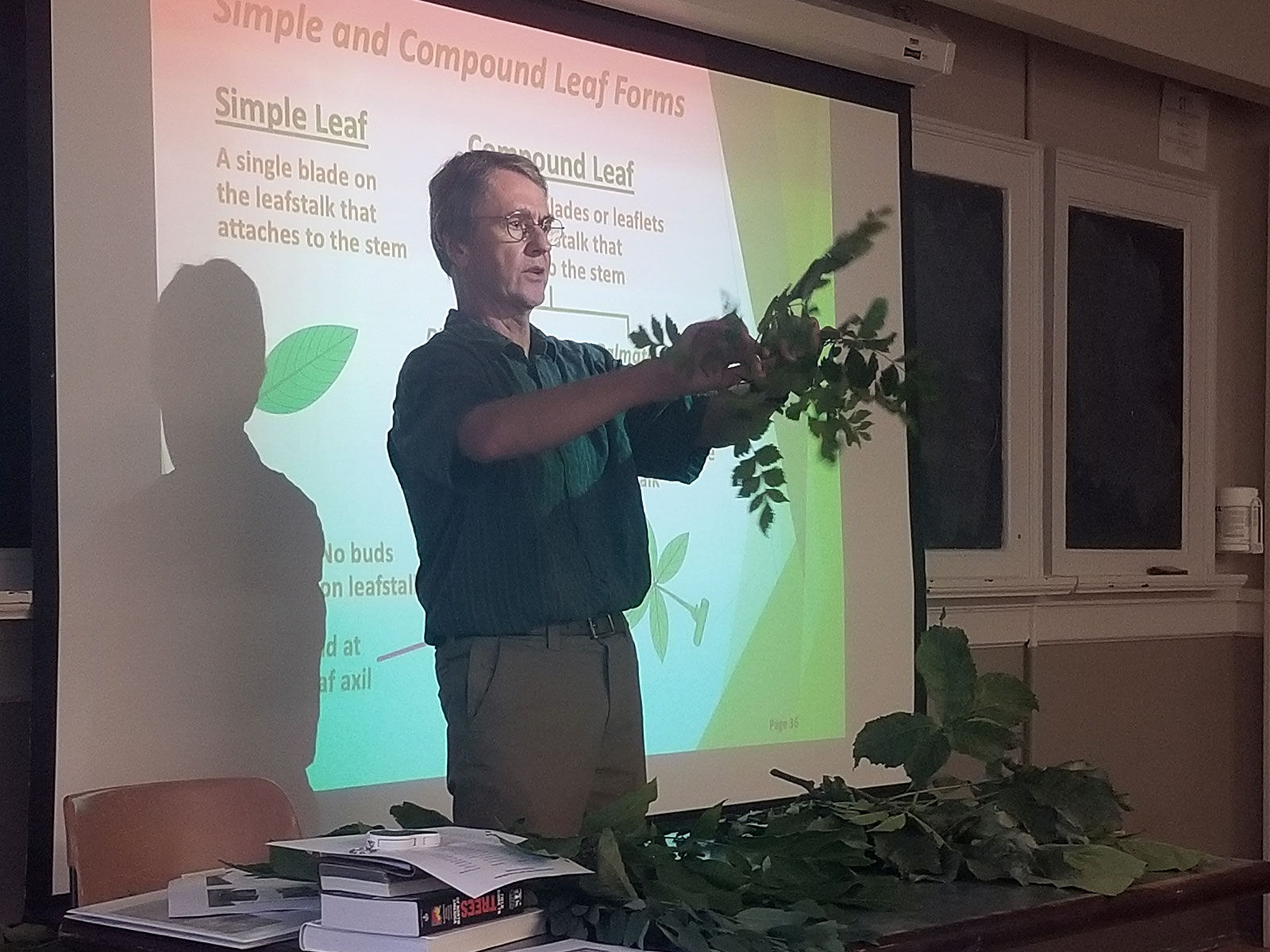 man teaching a course on trees